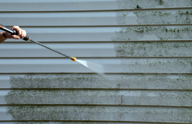 Best Driveway Pressure Washing  in Mendota Heights, MN